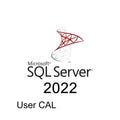 Licence d'accès client SQL Server 2022 pour les utilisateurs