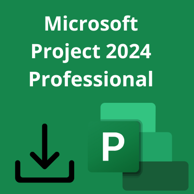 Microsoft Project 2024 Professionnel