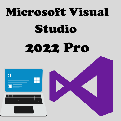 Microsoft Visual Studio 2022 Professionnel - version complète