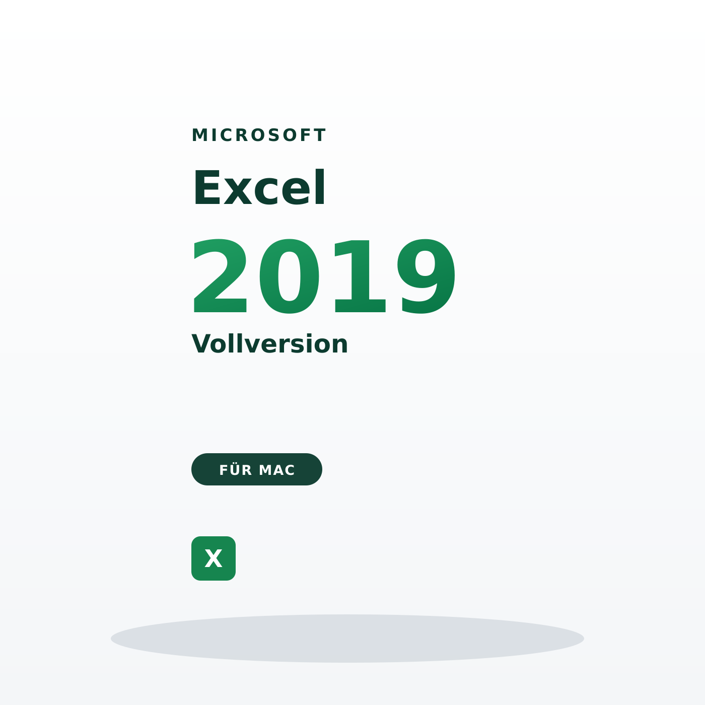 Microsoft Excel 2019 für Mac