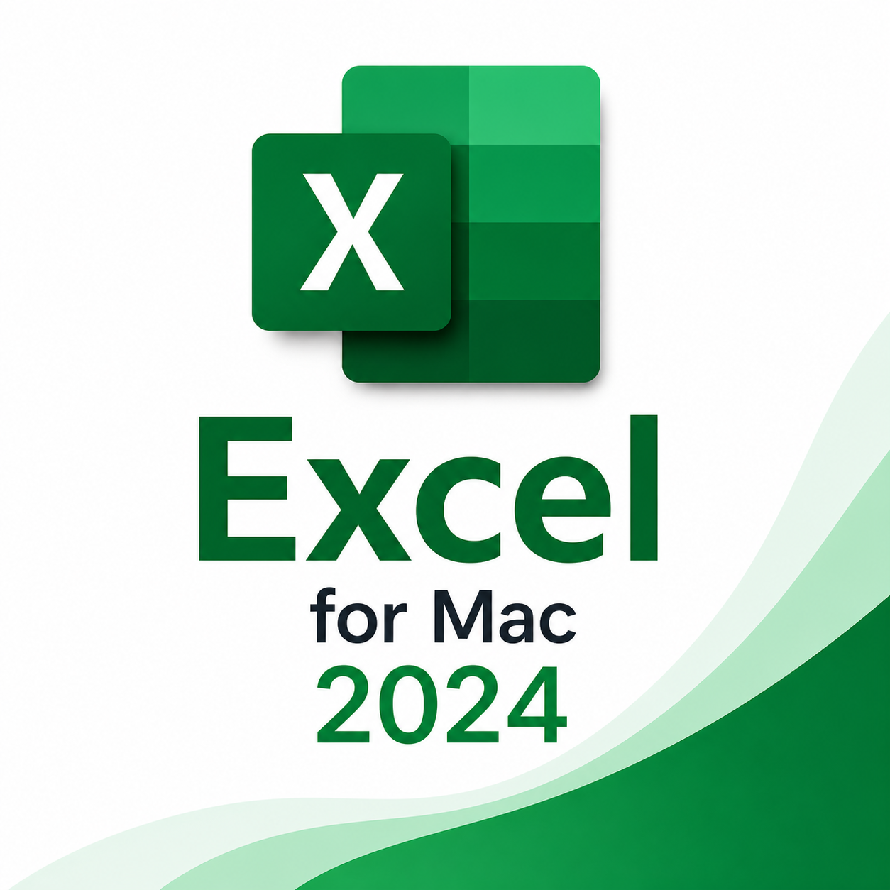 Microsoft Excel pour Mac 2024