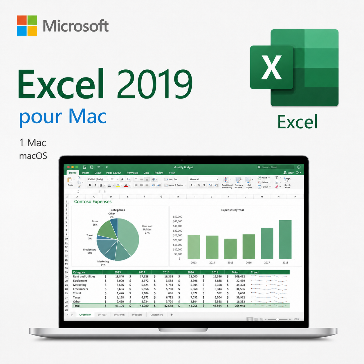 Microsoft Excel 2019 pour Mac