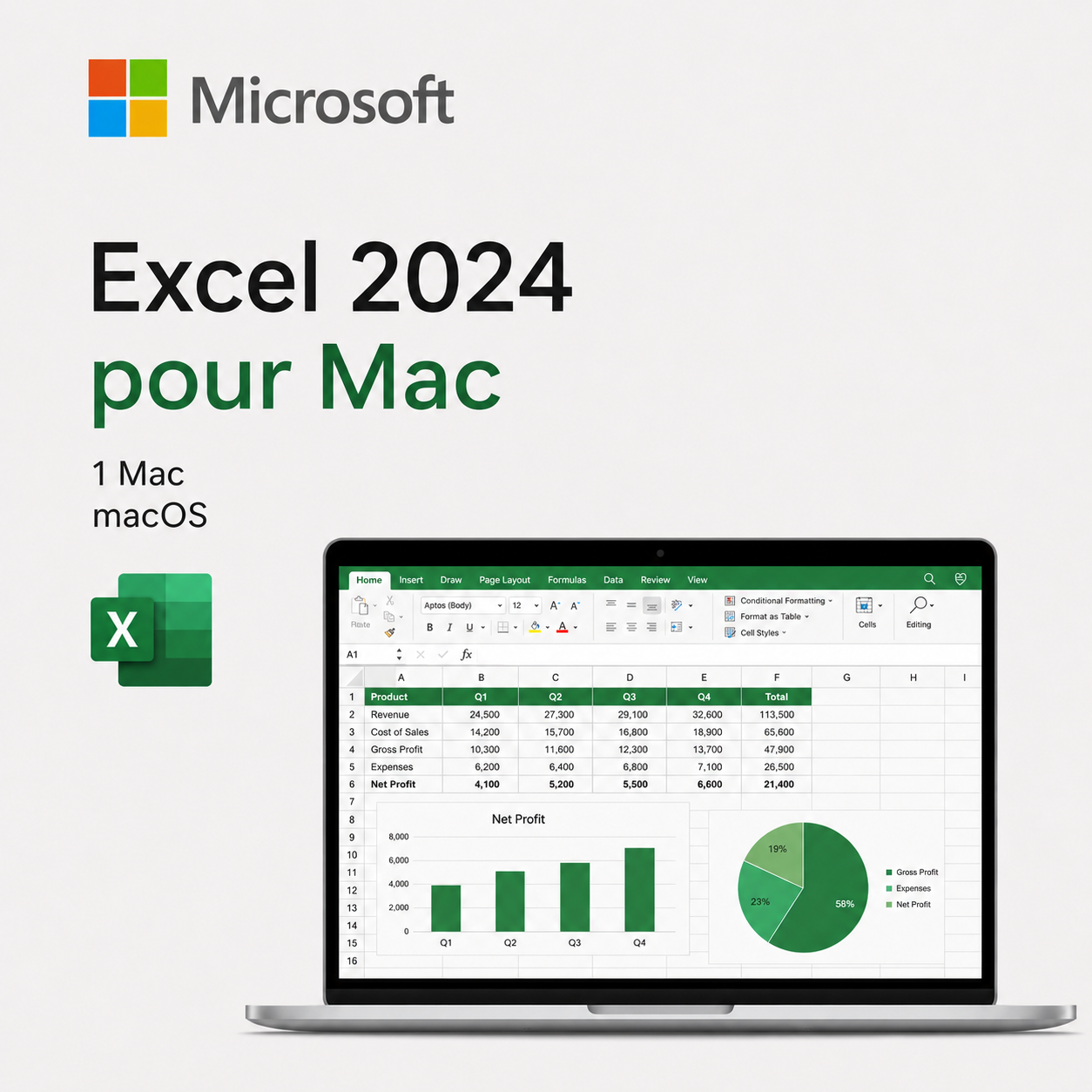Microsoft Excel 2024 pour Mac