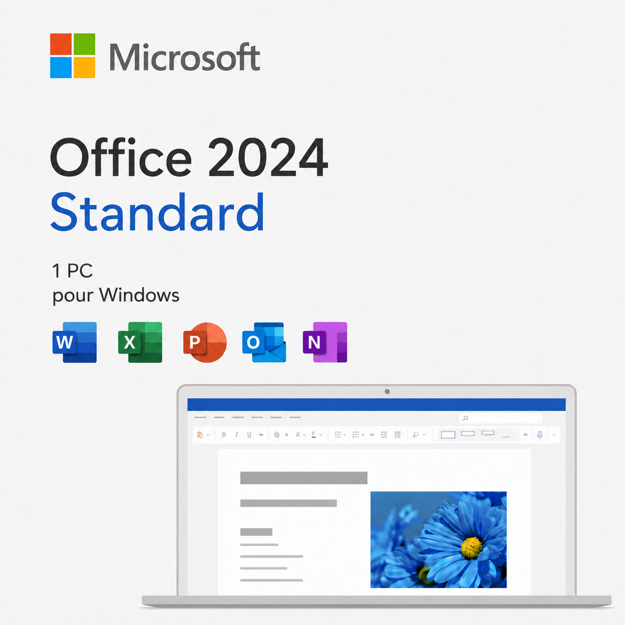 Microsoft Office 2024 Standard pour Windows