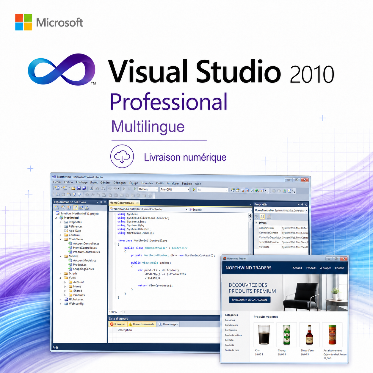 Microsoft Visual Studio 2010 Professional – version française