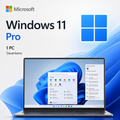 Microsoft Windows 11 Professional