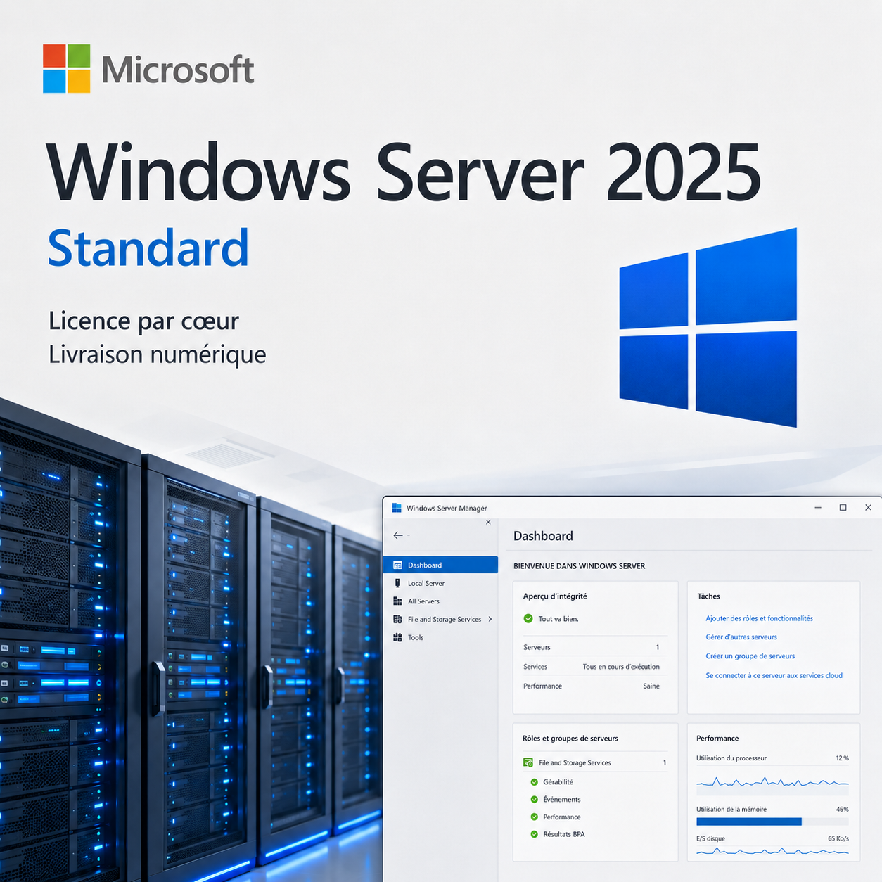 Microsoft Windows Server 2025 Standard