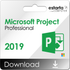 Microsoft Project Professionnel 2019