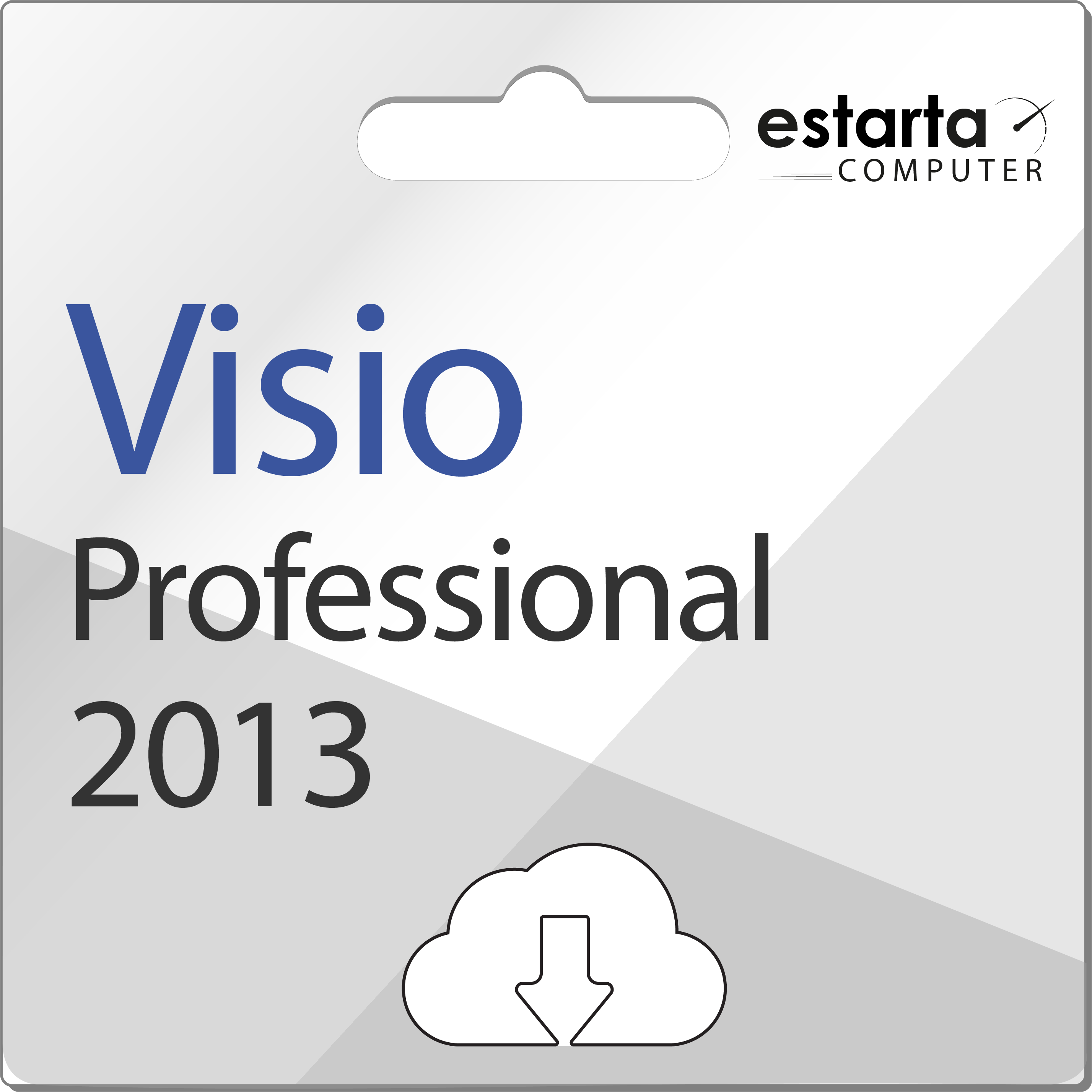 Microsoft Visio 2013 Professionnel 