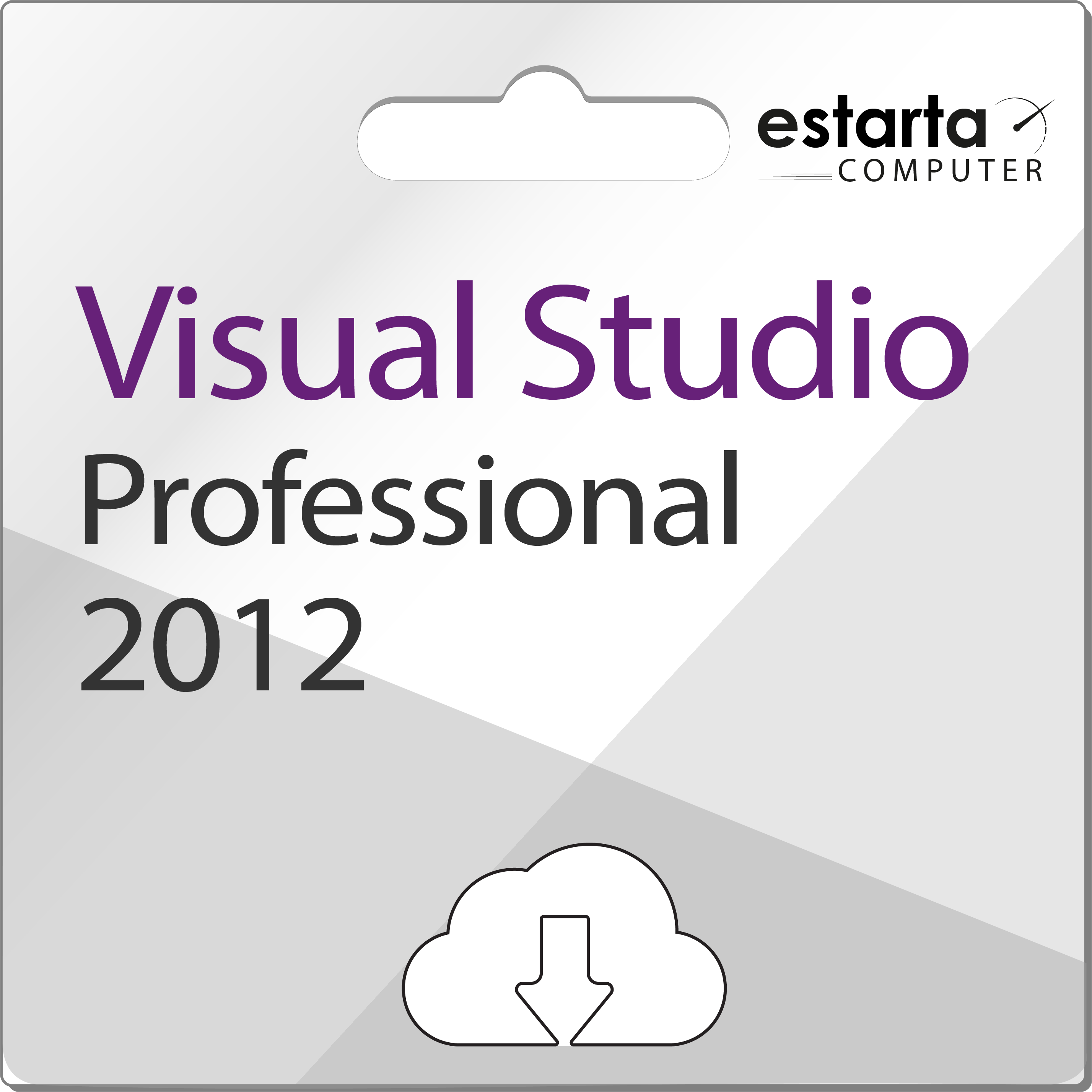 Microsoft Visual Studio 2012 Professionnel 