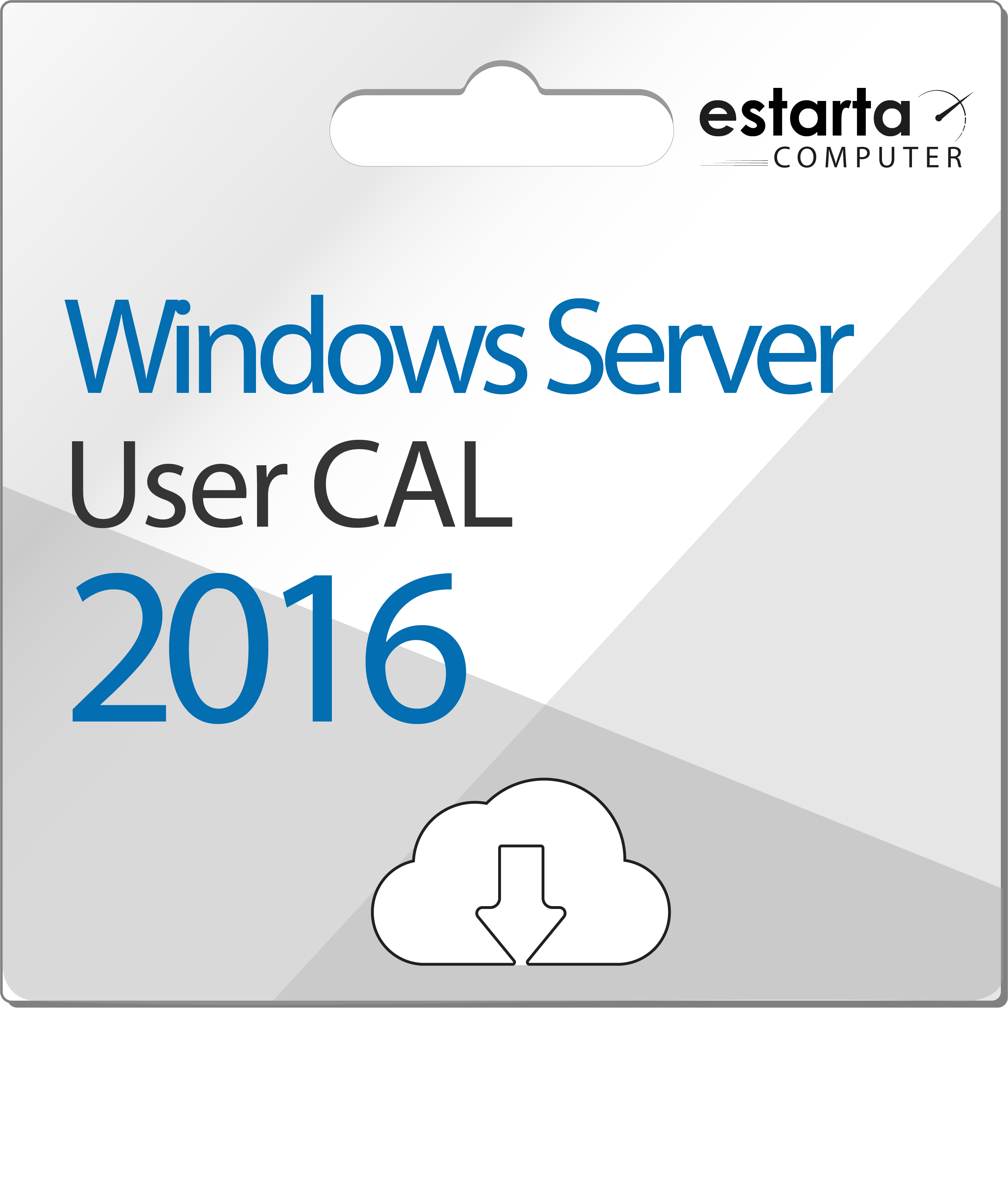 Licence d'accès client Microsoft Windows Server 2016 | 5 CAL utilisateur