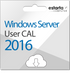 Licence d'accès client Microsoft Windows Server 2016 | 5 CAL utilisateur
